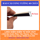 Hàng rào cái CONG vuông đơn 40 chân, 2.54mm