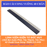 Hàng rào cái CONG vuông đơn 40 chân, 2.54mm