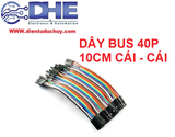 DÂY CẮM TESTBOARD 2 ĐẦU CÁI - CÁI, 10CM, 40 SỢI
