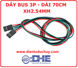 DÂY BUS 3P, DÀI 70CM, XH2.54MM