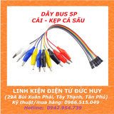 BẸ 5 SỢI DÂY CHUYỂN ĐẦU CÁI - KẸP CÁ SẤU