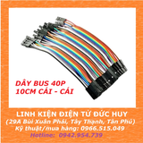 DÂY CẮM TESTBOARD 2 ĐẦU CÁI - CÁI, 10CM, 40 SỢI