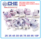 DÂY BUS TRẮNG 2 ĐẦU XH2.54 2.54MM DÀI 30CM