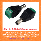 Chuyển Domino - Jack DC (Đực)