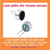 CẢM BIẾN ÂM THANH MICRO