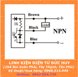 NJK 5002C CẢM BIẾN TỪ HALL NPN, NO ( KÈM NAM CHÂM )