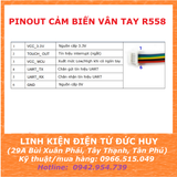 Combo mạch cảm biến và giải mã vân tay R558 với KL216, có remote cài đặt
