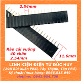 Hàng rào cái vuông đơn 40 chân, 2.54mm