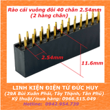 Hàng rào cái vuông đôi 40 chân, 2.54mm
