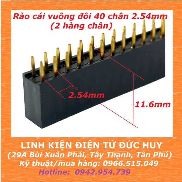 Hàng rào cái vuông đôi 40 chân, 2.54mm