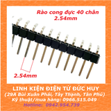 Hàng rào đực cong đơn 40 chân, 2.54mm