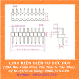 Hàng rào đực cong đôi 40 chân, 2.54mm
