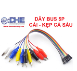 BẸ 5 SỢI DÂY CHUYỂN ĐẦU CÁI - KẸP CÁ SẤU