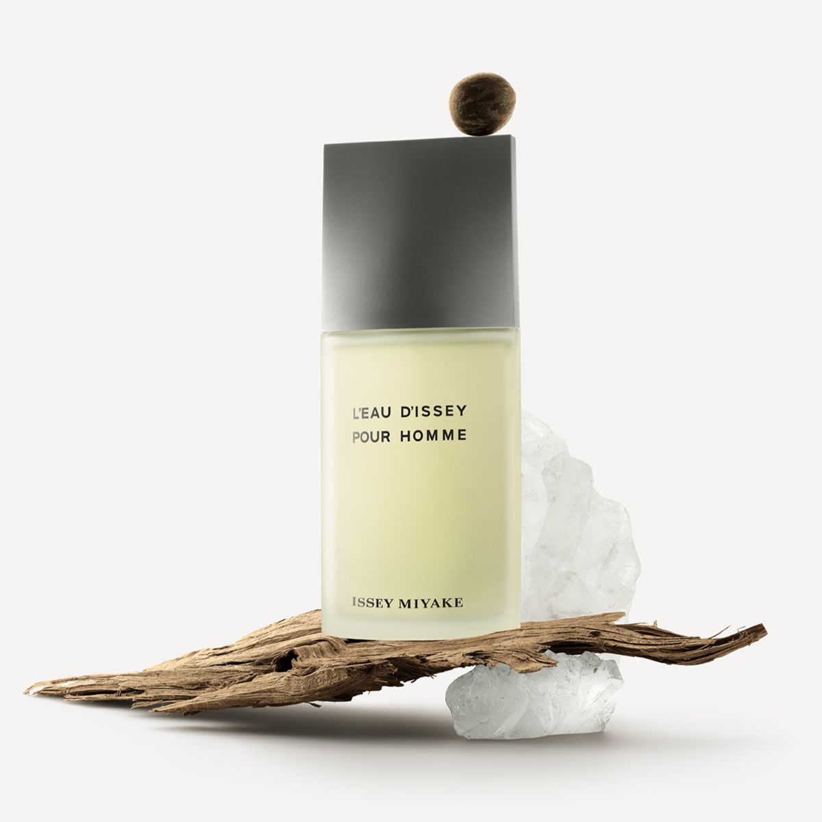  Issey Miyake L'Eau d'Issey Pour Homme 