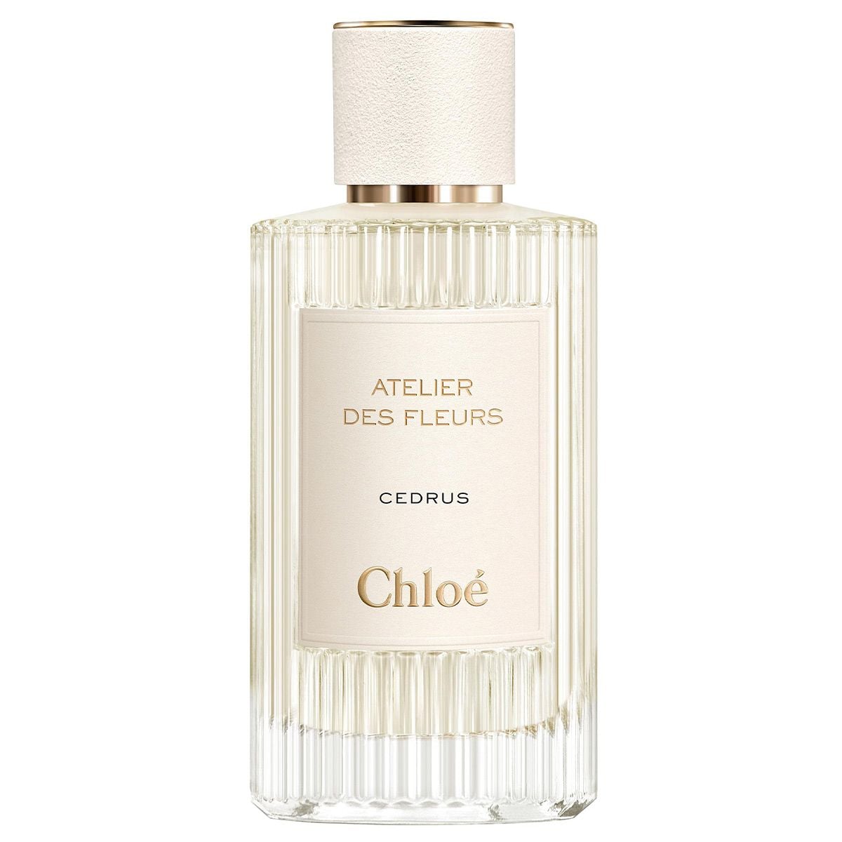 N c Hoa Chloe Atelier Des Fleurs Cedrus Namperfume N c Hoa Chloe Atelier Des Fleurs Cedrus Namperfume