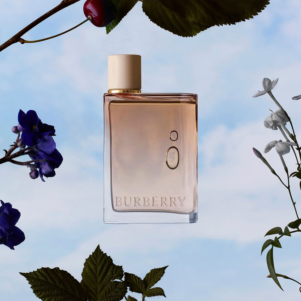 burberry intense