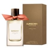  Burberry Garden Roses 