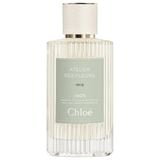  Chloé Atelier Des Fleurs Iris 