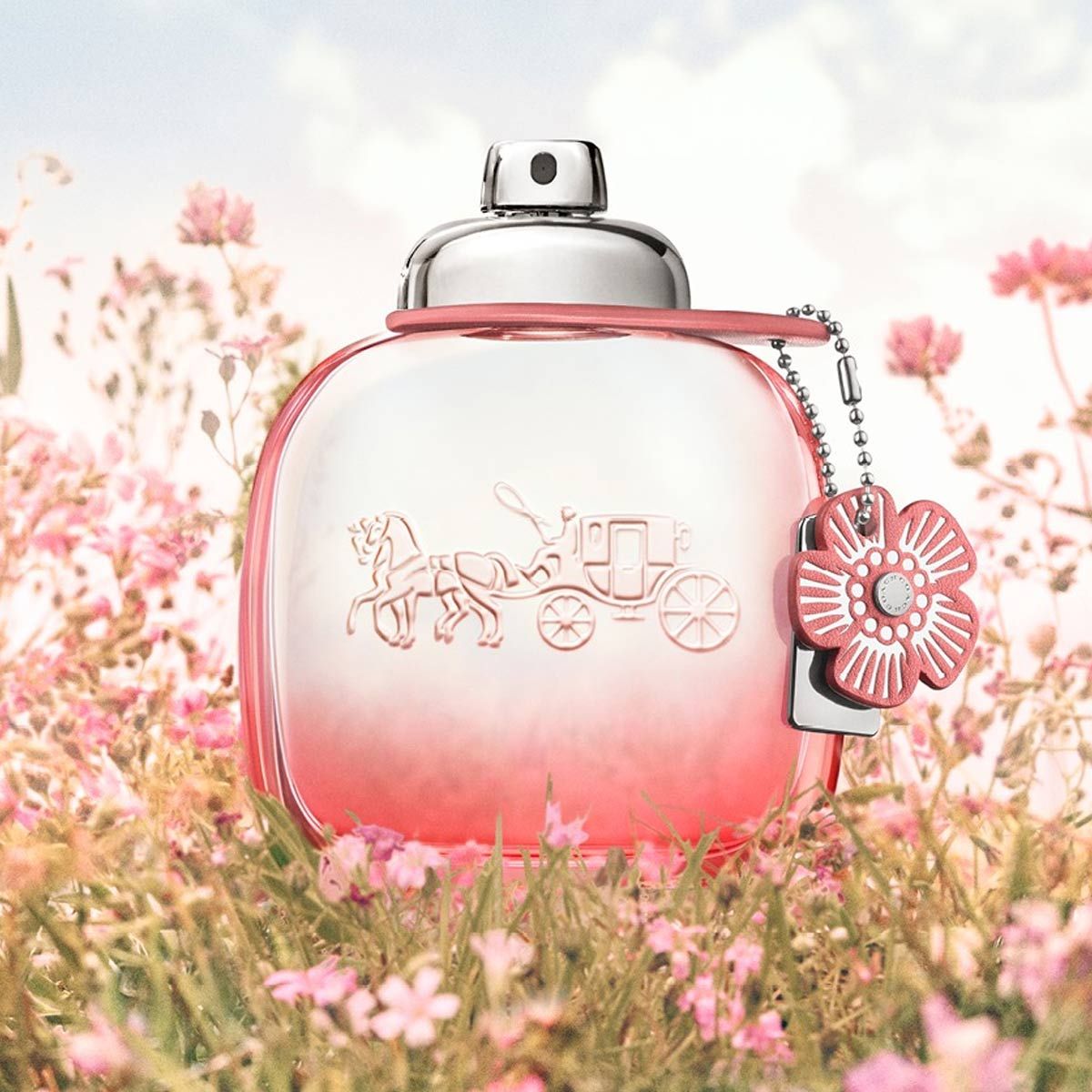  Coach Floral Blush 