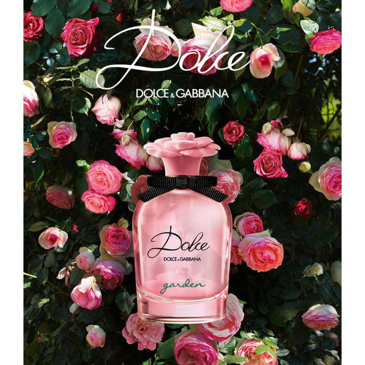 Arriba 84+ imagen dolce gabbana garden 50ml Abzlocal.mx