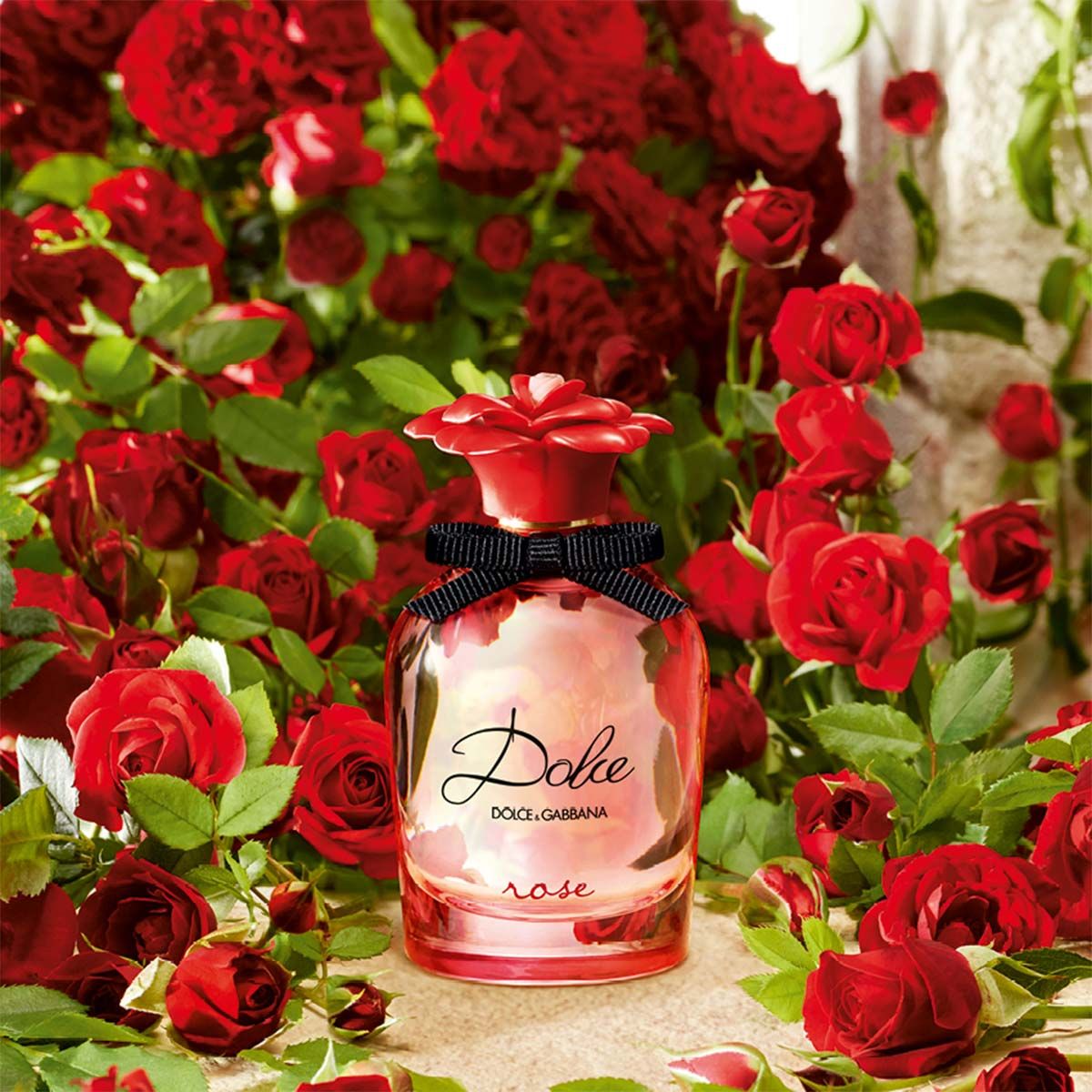 Nước hoa Dolce & Gabbana Dolce Rose | namperfume