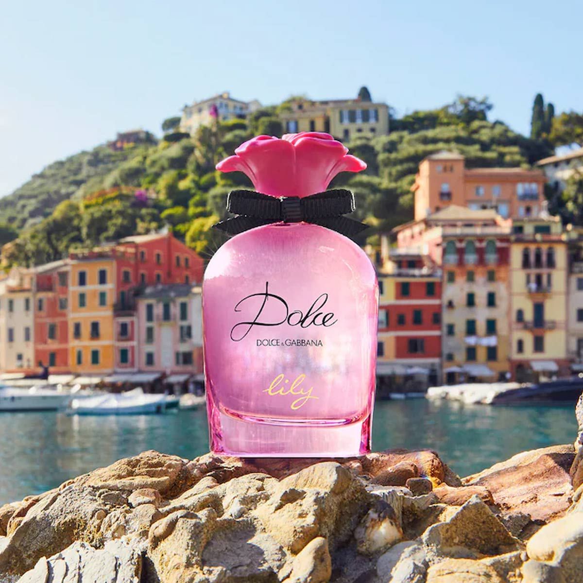  Dolce & Gabbana Dolce Lily 