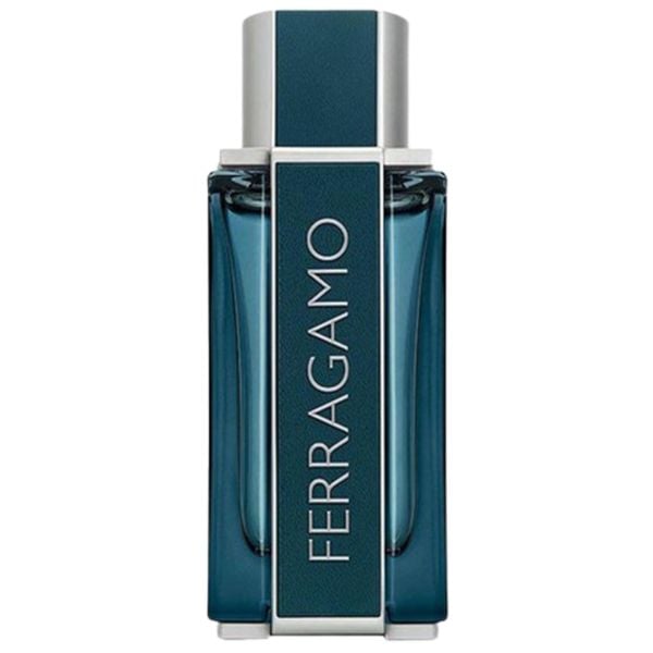  Salvatore Ferragamo Intense Leather For Men 