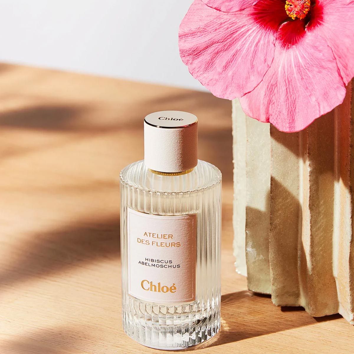  Chloe Atelier Des Fleurs Hibiscus Abelmoschus 