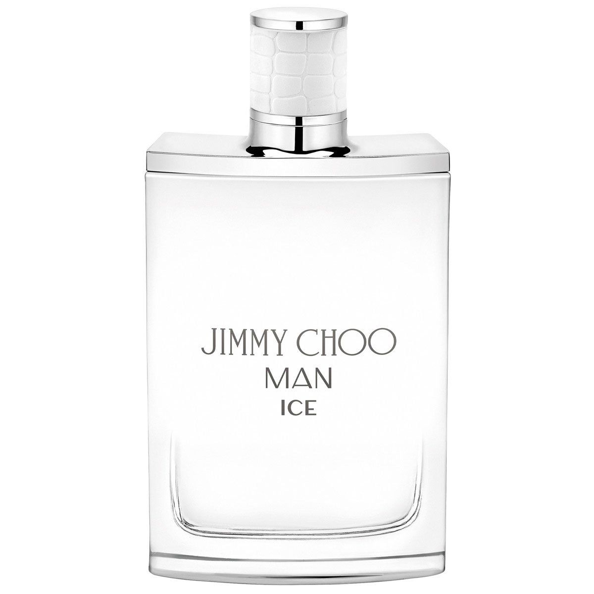  Jimmy Choo Man Ice 