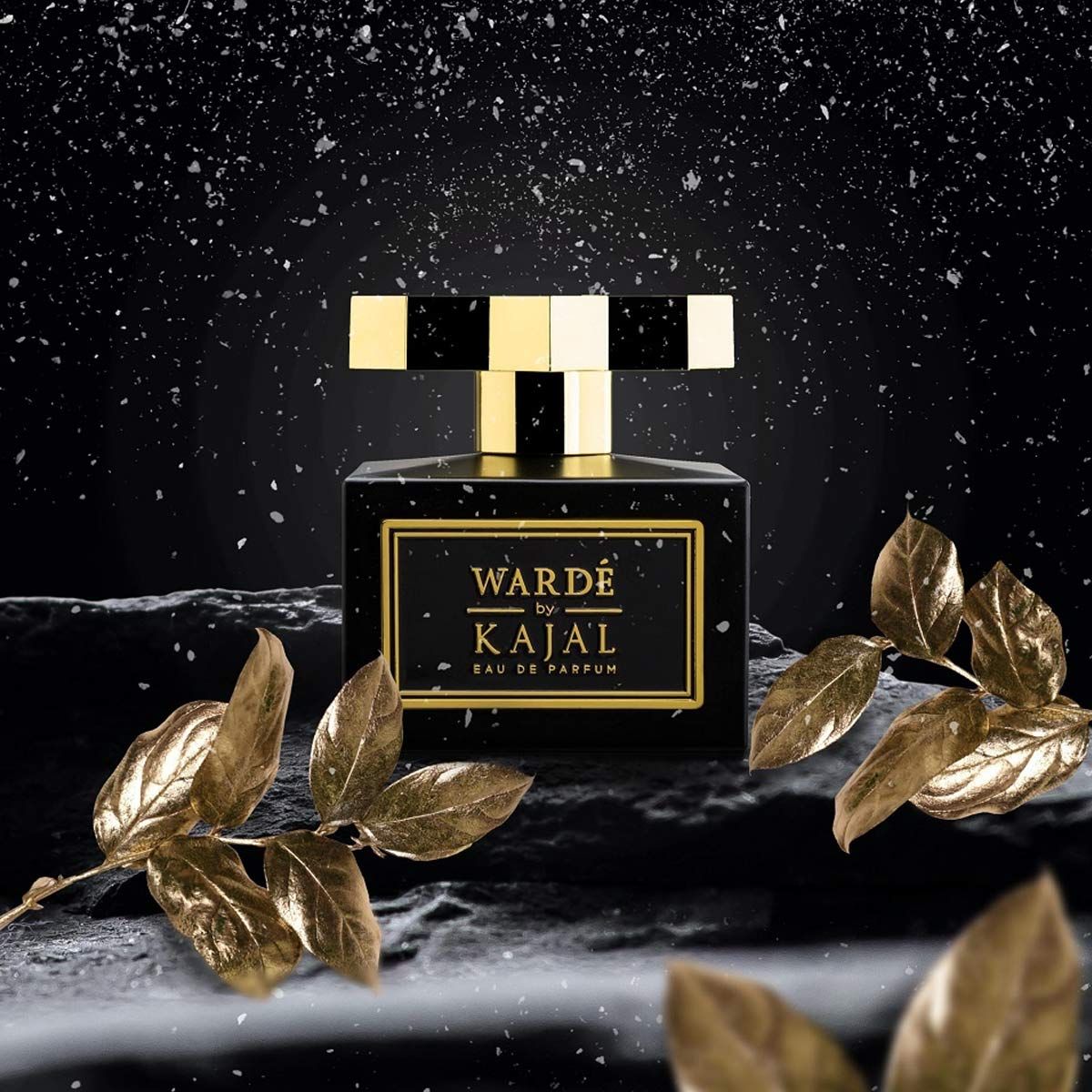  Kajal Wardé 