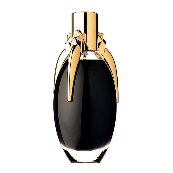  Lady Gaga Fame 