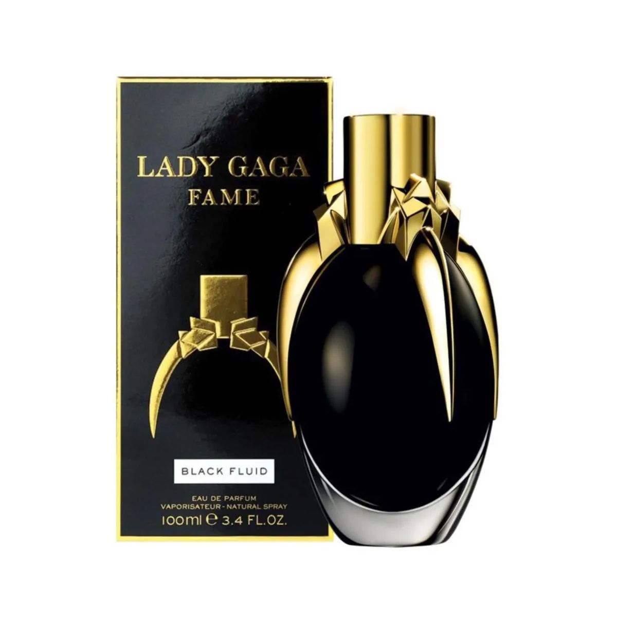  Lady Gaga Fame 