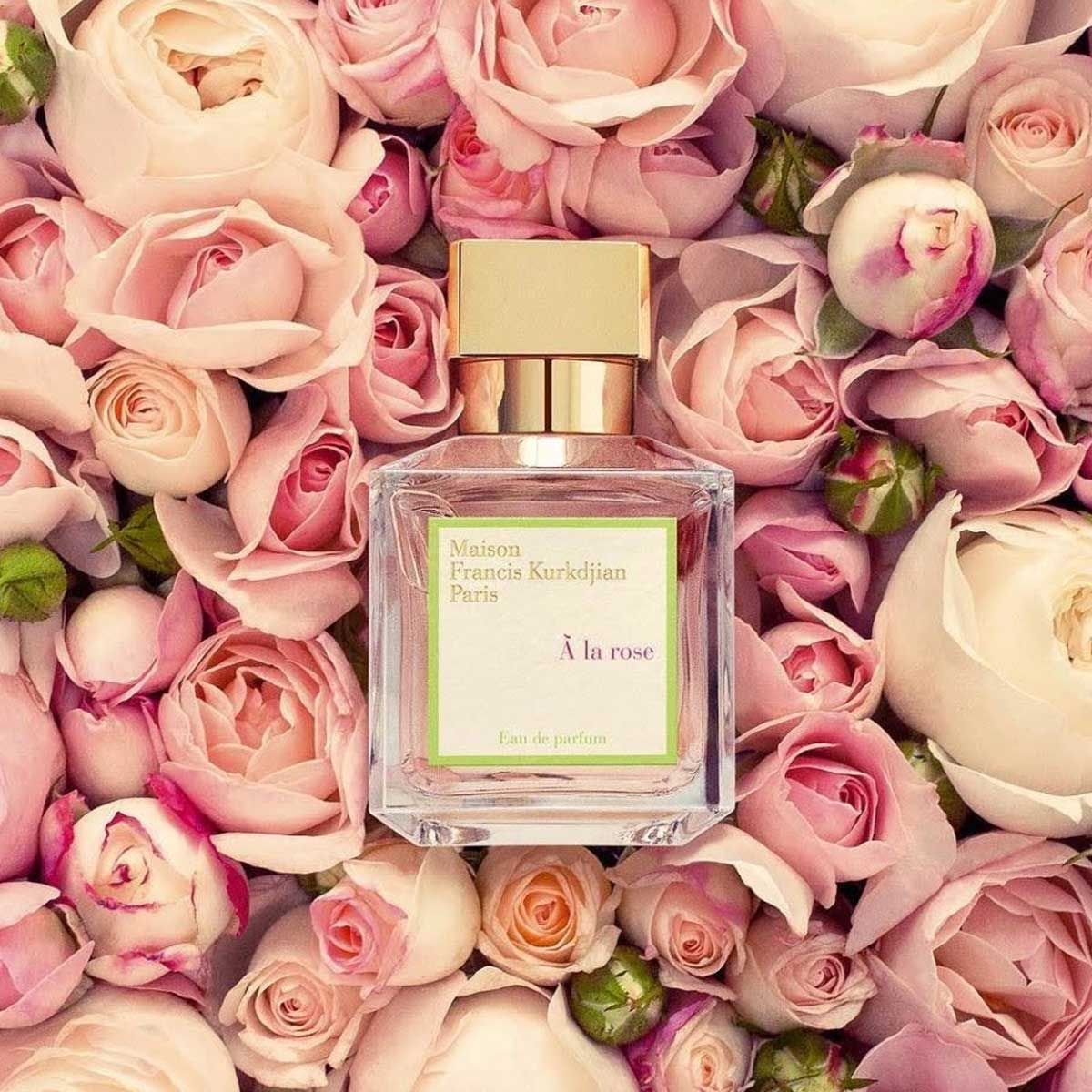 Nước hoa Maison Francis Kurkdjian A La Rose | namperfume