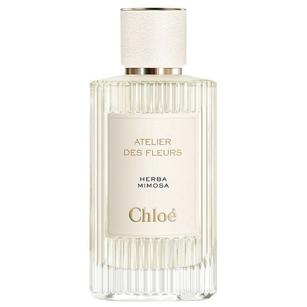 Chloe Atelier Des Fleurs Herba Mimosa