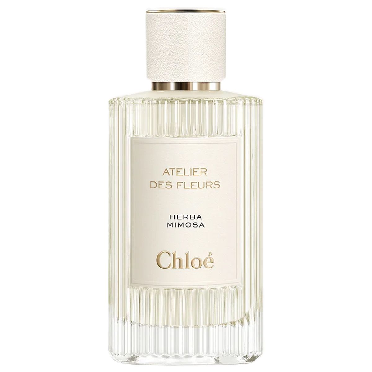  Chloe Atelier Des Fleurs Herba Mimosa 