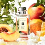  Jo Malone London Nectarine Blossom & Honey Cologne 