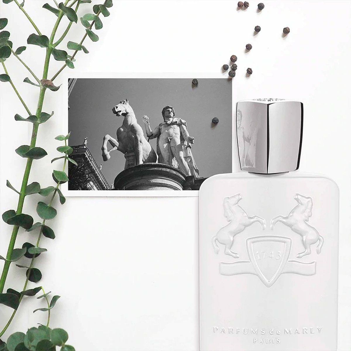  Parfums de Marly Galloway 