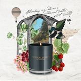 Nến Thơm Penhaligon's Roanoke Ivy Candle 