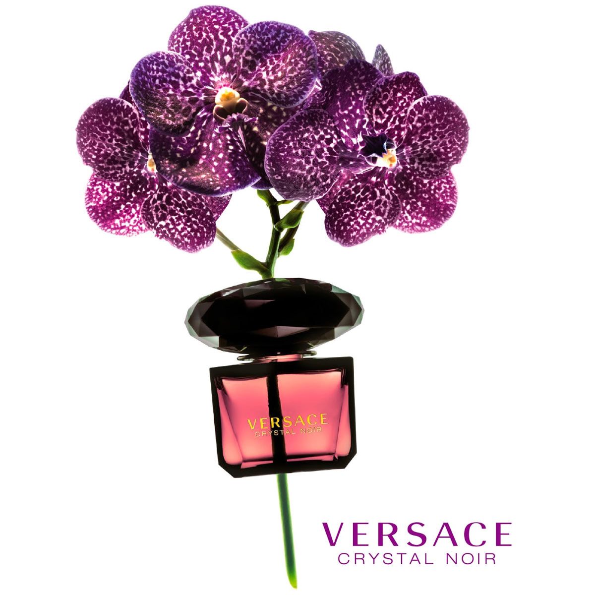  Versace Crystal Noir 