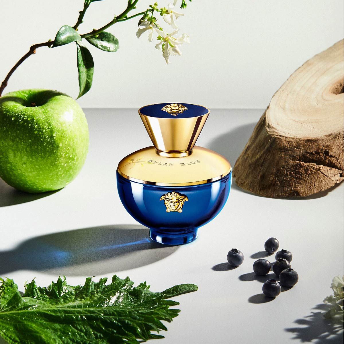  Versace Dylan Blue Pour Femme Eau de Parfum 