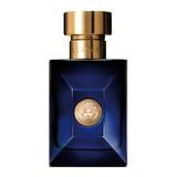  Versace Pour Homme Dylan Blue 