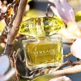  Versace Yellow Diamond 