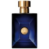  Versace Pour Homme Dylan Blue 