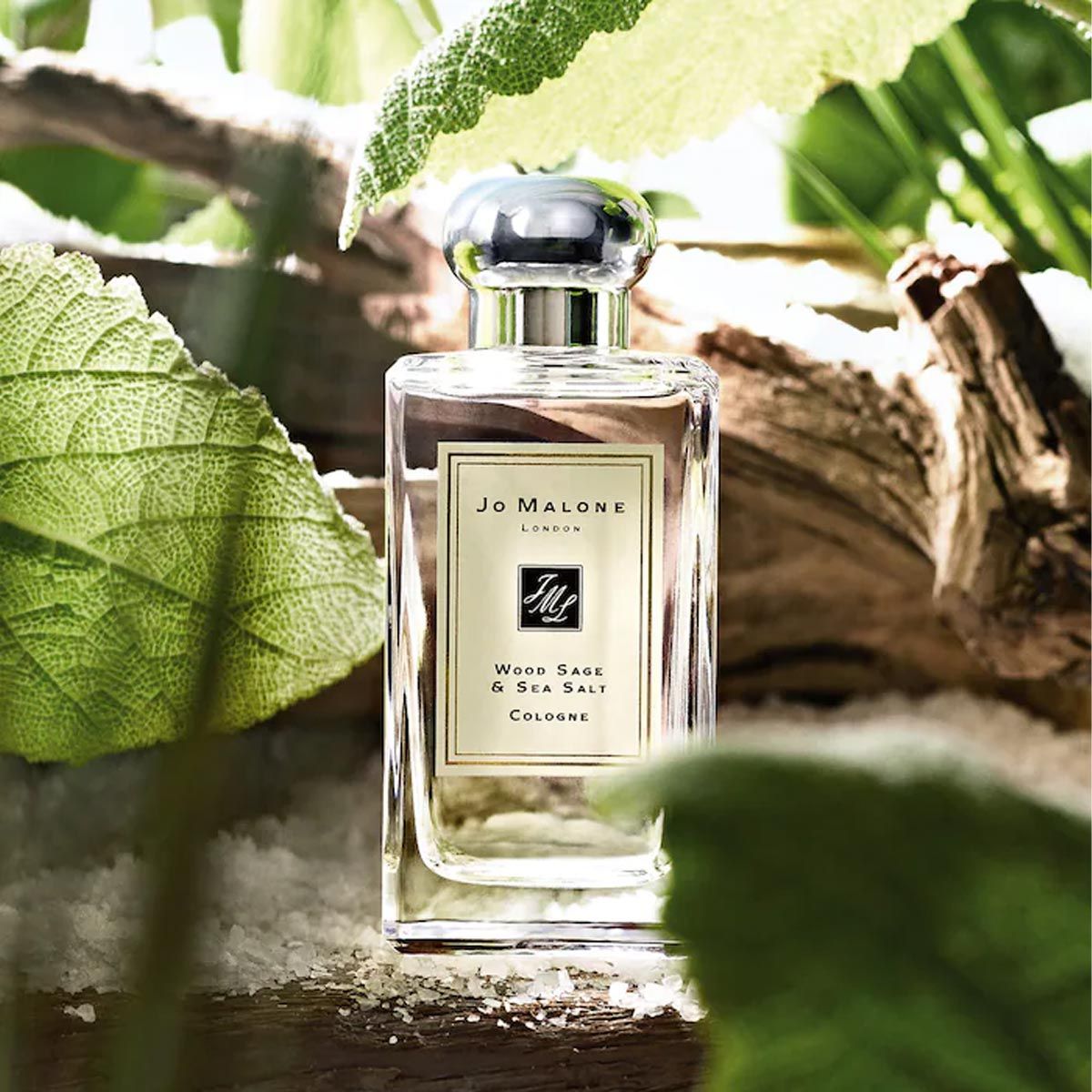  Jo Malone London Wood Sage & Sea Salt Cologne 