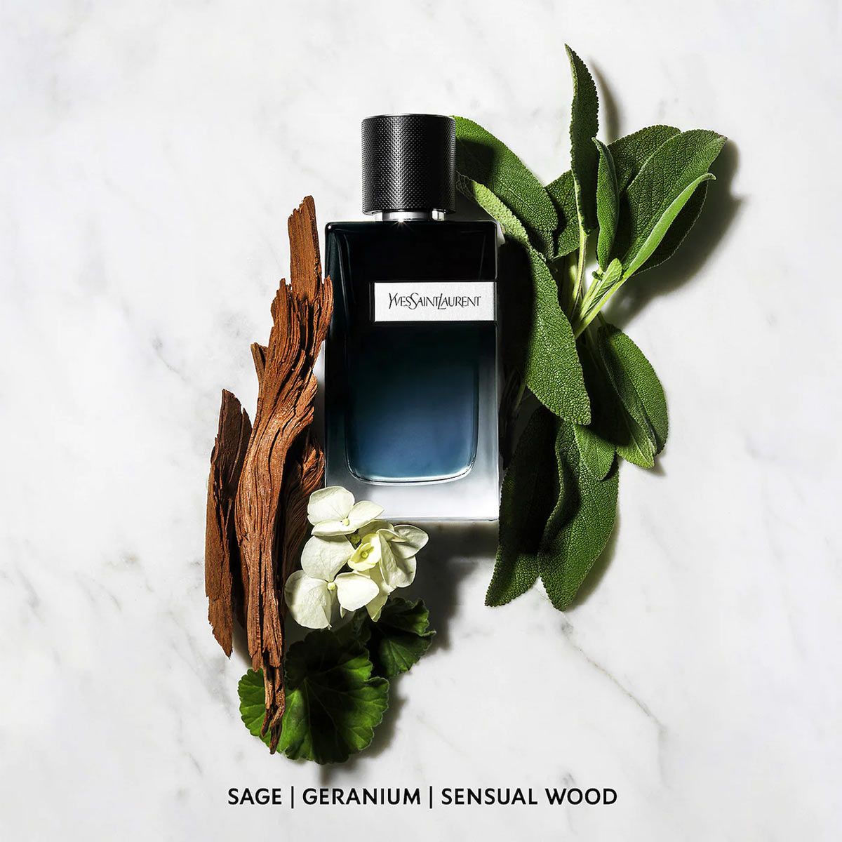 Nước hoa Yves Saint Laurent Ysl Y Eau de Parfum | namperfume