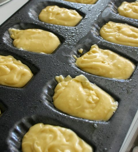 banh-Madeleines-9-480x526