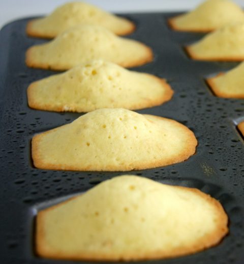 banh-Madeleines-10-480x518 (2)