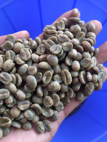 cà phê nhân Arabica 1kg