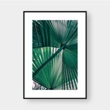  PALM LEAVES NO.2 