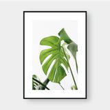 MONSTERA LEAF NO.6 